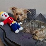 Debbie Linder - @debbielinder2 - Instagram