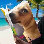 Debbie Linderman - @debbielinderman6779 - Instagram