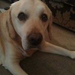 Debbie Lippiatt - @debbielippiatt - Instagram