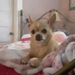 Debbie Smith Lively - @debbielively2023 - Instagram