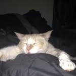 Debbie Anne Lockerbie - @debbielockerbie - Instagram