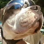 Debbie Locker - @debblocker67 - Instagram