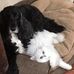 Debbie Locker - Facebook