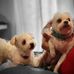 Debbie Loeffler - Facebook