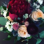 Debbie Loewen - @debbie_loewen - Instagram
