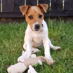 Debbie Loots - @the.life.of.lilo.1 - Instagram