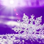 Debbie Low - @dfsw72 - Instagram