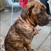 Debbie Lowe - Facebook