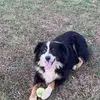 Debbie Lowe - @debbie.lowe46 - TikTok