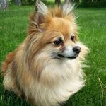 Debbie Maas - @debbie.maas.188 - Instagram