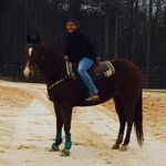 Debbie Maas - @deb.maas - Instagram