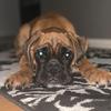 debbiemaas315 - @debbiemaas315 - TikTok