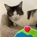 Debbie Macgregor - Facebook