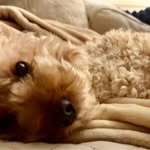 Debbie MacKenzie - @debbie.mackenzie.7359 - Instagram