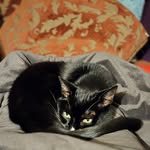 Debbie MacKenzie - @debbie.mackenzie.169 - Instagram