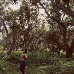Debbie Mackey - @debbiemackey42 - Instagram