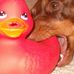 Debbie Macmillan - Facebook
