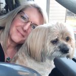 Debbie MacMillan-Wilmshurst - @macmillanwilmshurst - Instagram