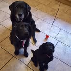 Debbie Madeley - Facebook