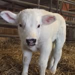 Debbie Madeley - @madeley.debbie - Instagram