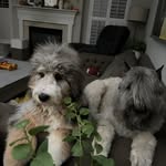 Debbie Mallonee - @malloneedebbie - Instagram