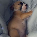 Debbie Mann - @debbiemann845 - Instagram