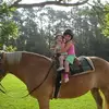 Debbie Maples - @debbiemaples - TikTok