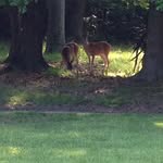 Debbie Watkins Maples - @melkrys1 - Instagram