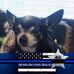 Debbie Markowski - Facebook