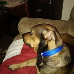 Debbie Massaro - @debbie.massaro.14 - Instagram