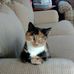 Deborah Massa - Facebook