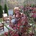 Debbie Mathews - Facebook
