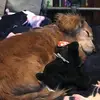 debbiemayberrypog - @debbiemayberrypog - TikTok
