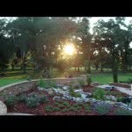 Debbie Mayfield Weekley - @dweekley - Instagram
