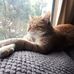 Debbie McAllister - Facebook