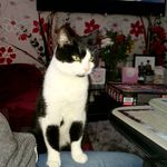 debbie mccartney - @mccartney_debbie - Instagram