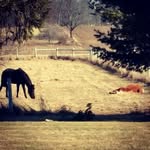 Debbie McClain - @jazzy_molly_chey_leo - Instagram