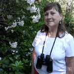 Debbie McFall - @mcfall_debbie - Instagram