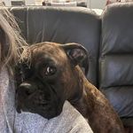 Debbie McFarlane - @dmhmcfarlane - Instagram
