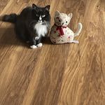 Debbie mcfarlane - @debbiemcfarlane1 - Instagram