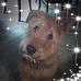 Deb Meehan - Facebook