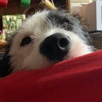 Debbie McGhee - Facebook