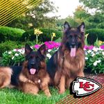 Debbie McHenry - @dmchenry4 - Instagram