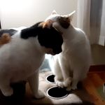 Debbie Mchenry - @debbiemchenry164 - Instagram