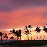 Debbie Douglas Mckeown - @debbiedouglasmckeown - Instagram