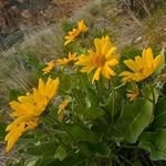 Debbie McKeown - @wind.river3 - Instagram
