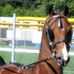 Debbie McKeown - Facebook