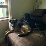 Debbie McKeown Geldhof - @geldhofdebbie - Instagram