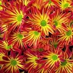 Debbie McMurray McMaster EA - @mcmurraymcmaster - Instagram