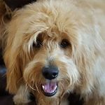 Debbie Mcmichael - @debbiemcmic - Instagram